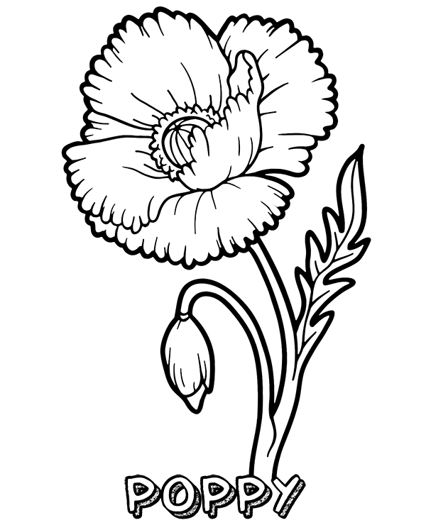 coloring pages poppy coloring pages poppy