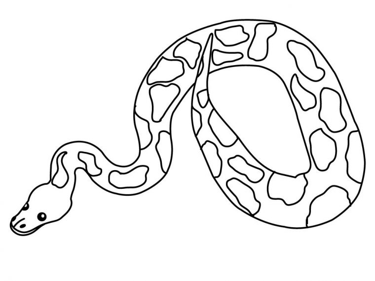 ball python coloring page ball python coloring page