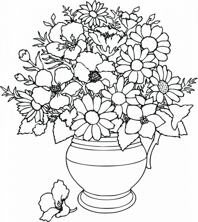 parts of a flower coloring page