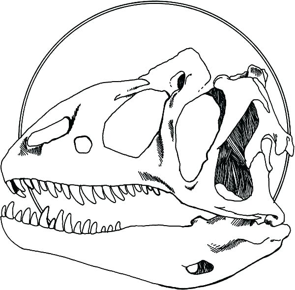 dinosaur fossil coloring pages dinosaur fossil coloring pages