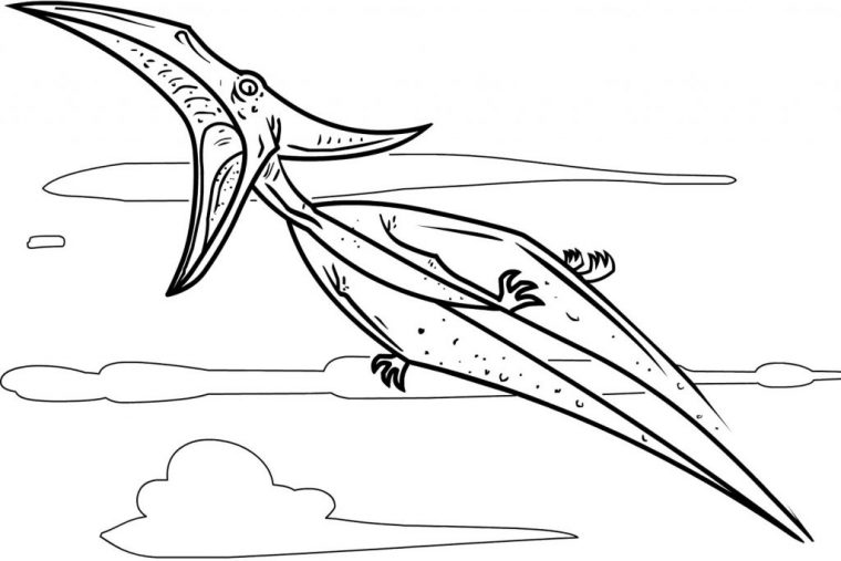 pteranodon coloring page