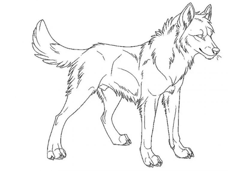anime wolves coloring pages