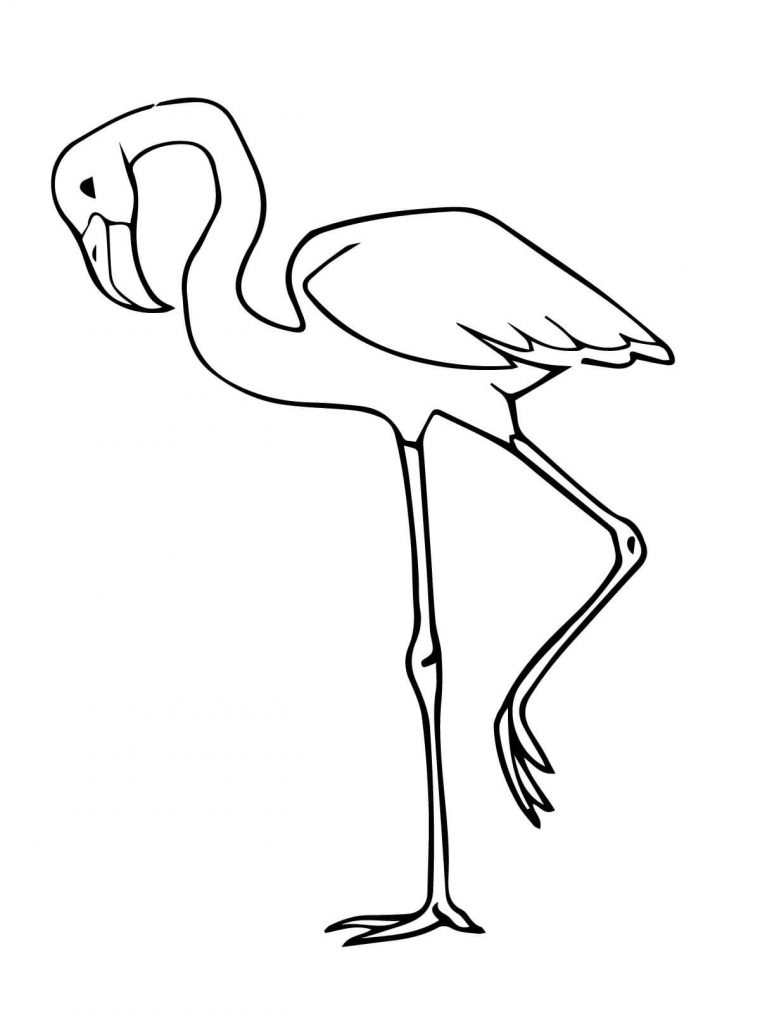 coloring pages of flamingos
