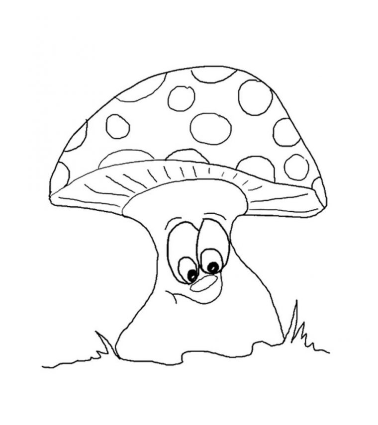frog and mushroom coloring pages frog and mushroom coloring pages