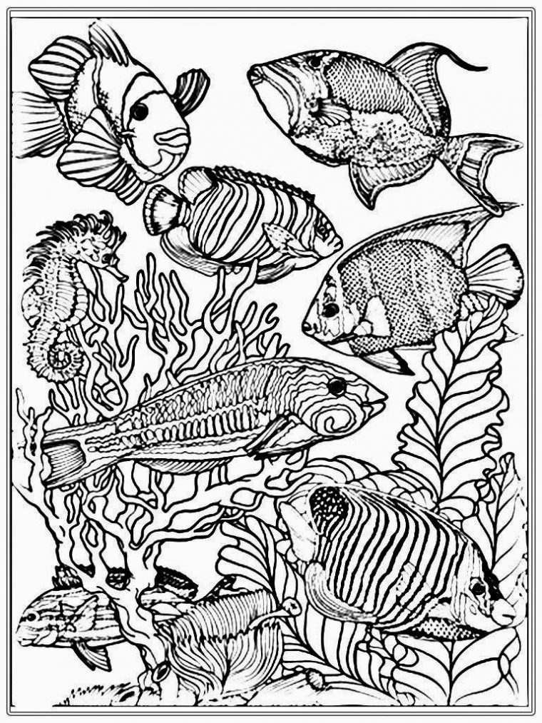 aquarium coloring page