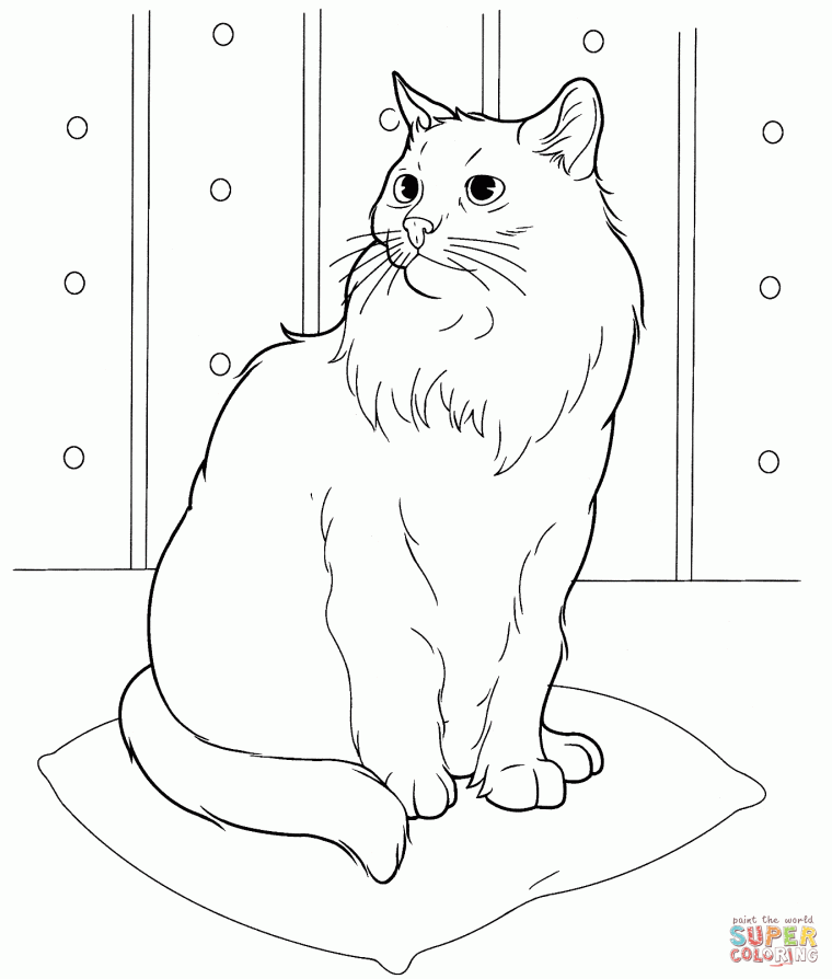 siamese cat coloring pages