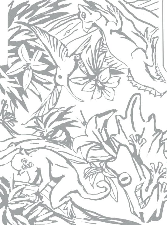 easy rainforest coloring pages
