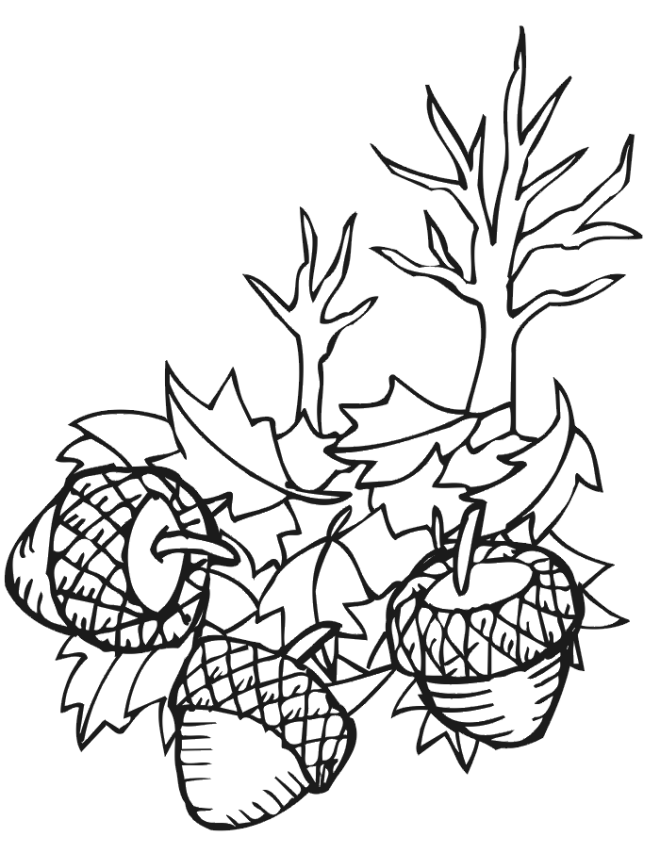 coloring pages for fall leaves coloring pages for fall leaves