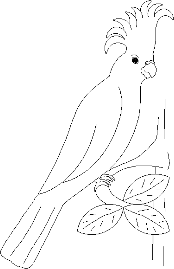 cute parrot coloring pages