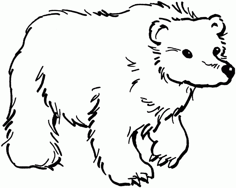 coloring page bears coloring page bears