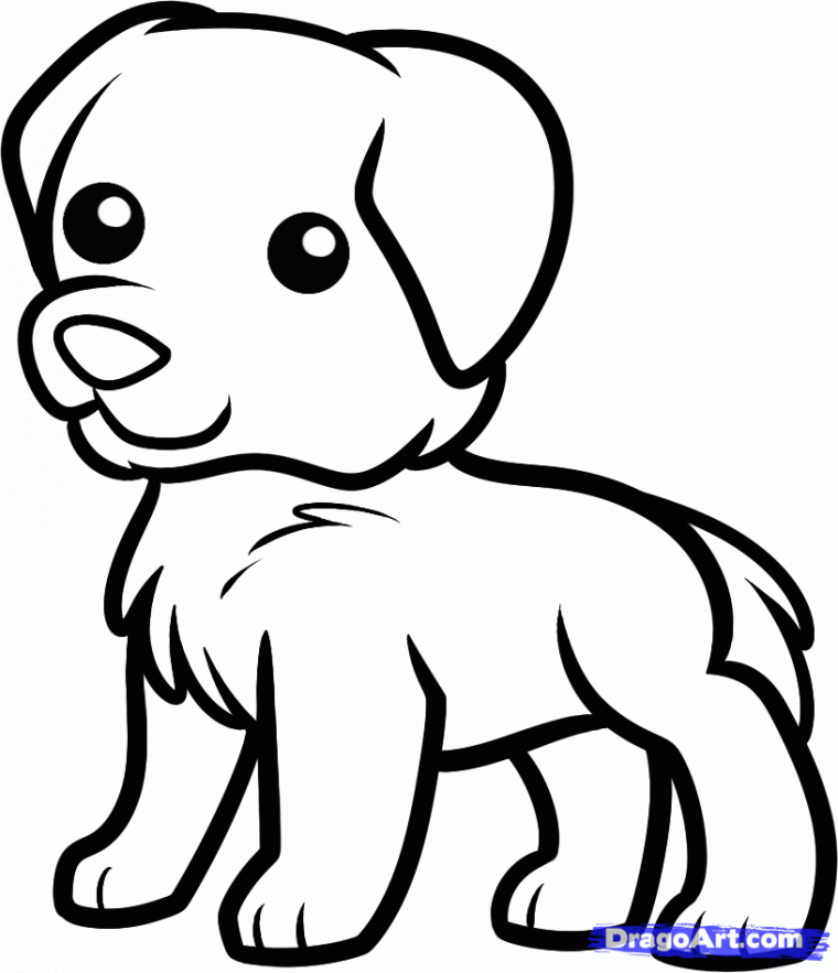 golden retriever printable coloring pages golden retriever printable coloring pages