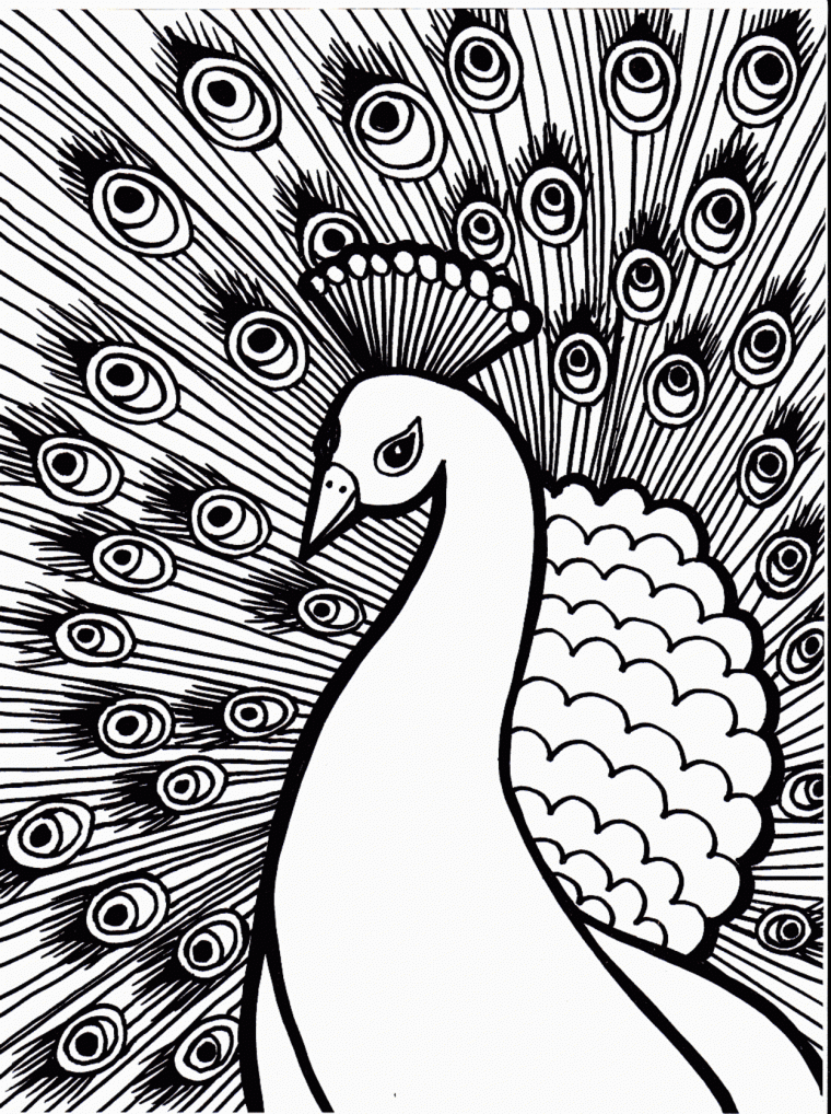cute peacock coloring pages