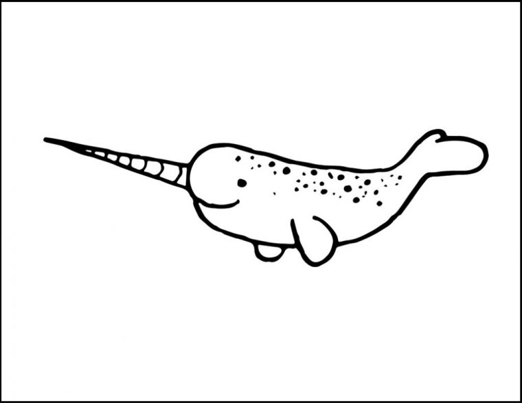 narwhal coloring page free