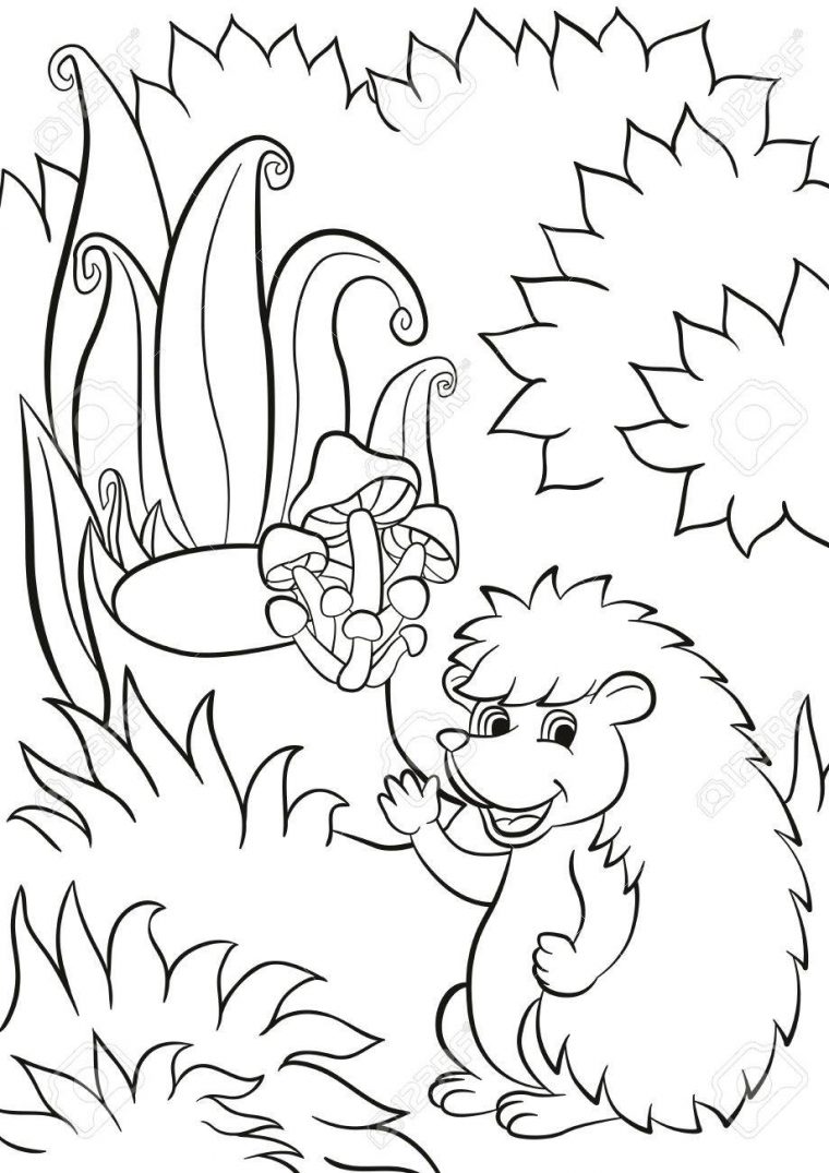 cute hedgehog coloring pages cute hedgehog coloring pages