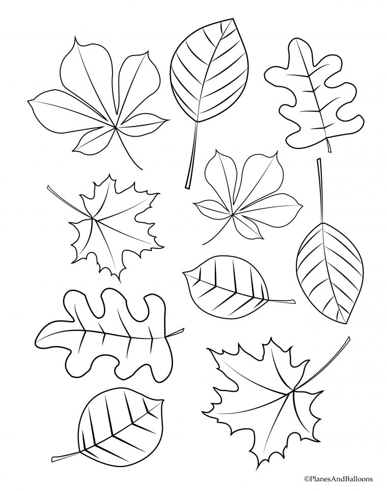 fall leaf coloring pages printable