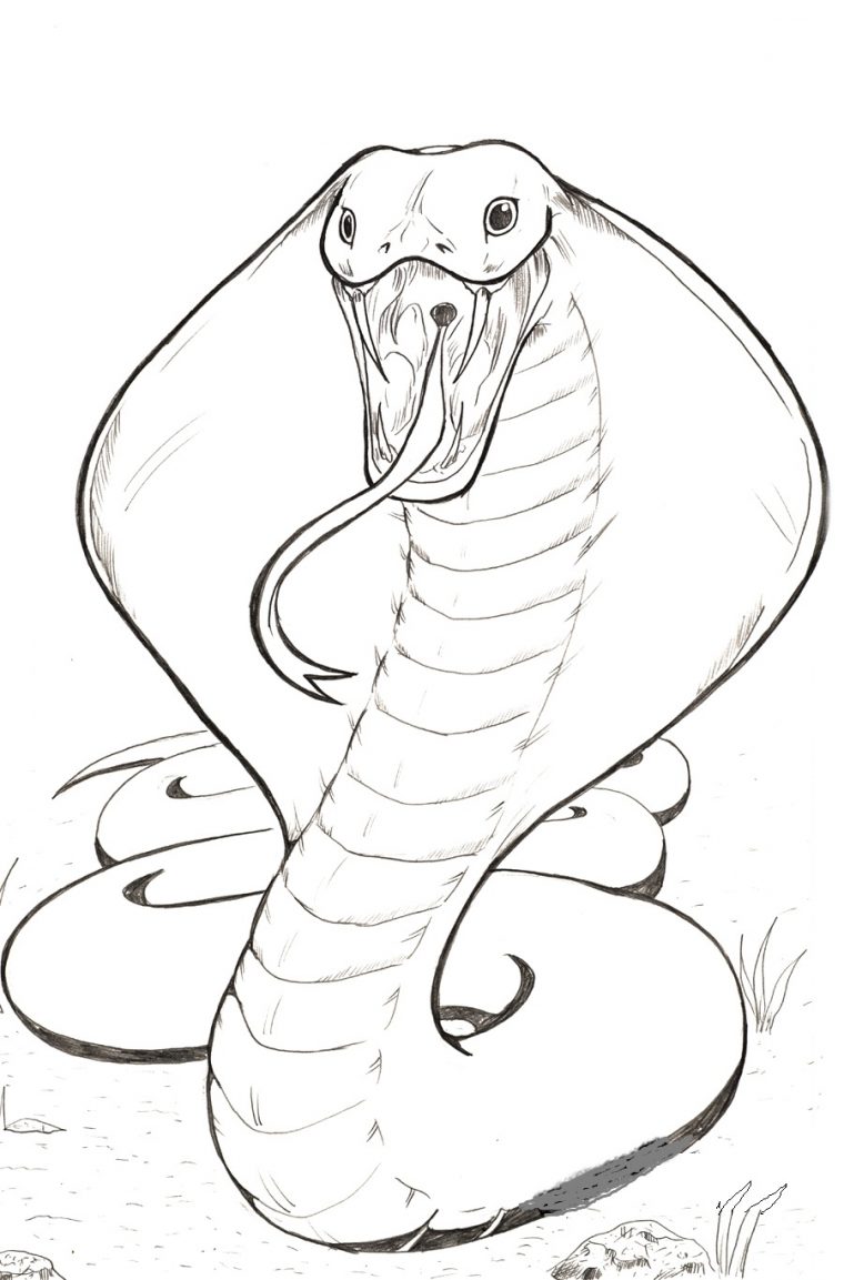 cobra snake coloring pages