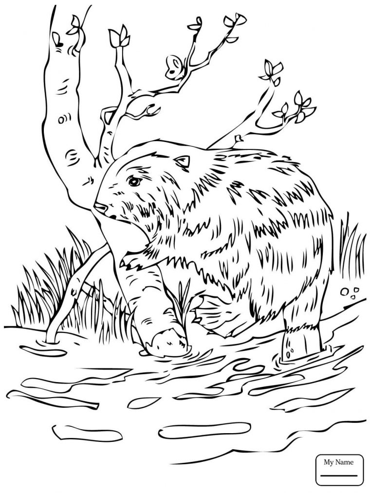 national park coloring page