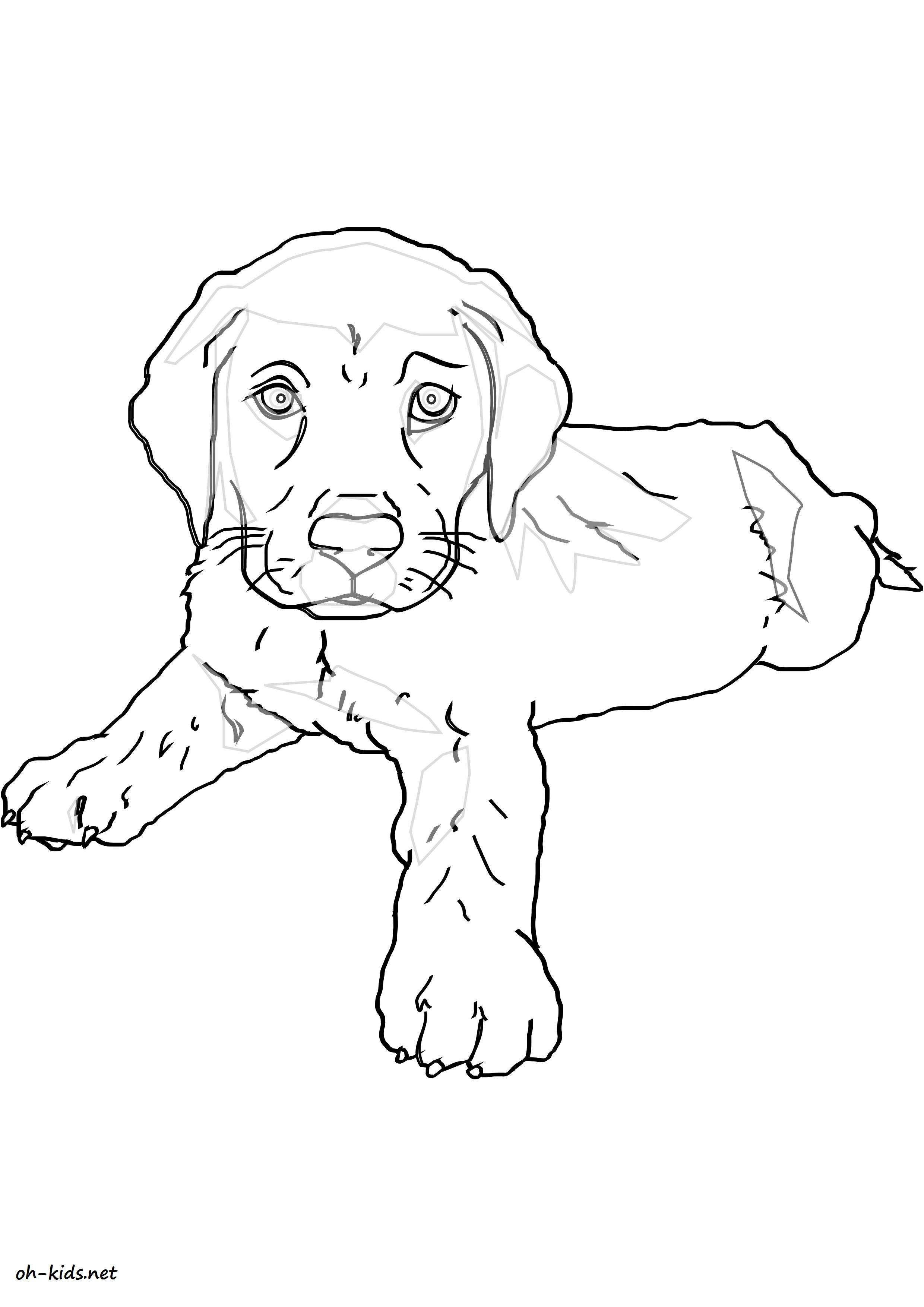 10 Qualité Coloriage Labrador Photos tout Coloriage Labrador