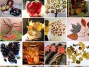 34 Bricolages D'automne À Faire Avec Les Enfants |La Cour avec Atelier Bricolage Maternelle