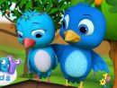 À La Volette - Mon Petit Oiseau A Pris Sa Volée - Chanson Pour Enfants pour Vol Petit Oiseau