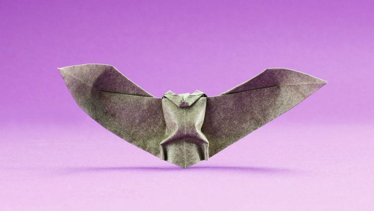 Activité Manuelle D'halloween : La Pipistrelle En Pliage avec Origami Chauve Souris