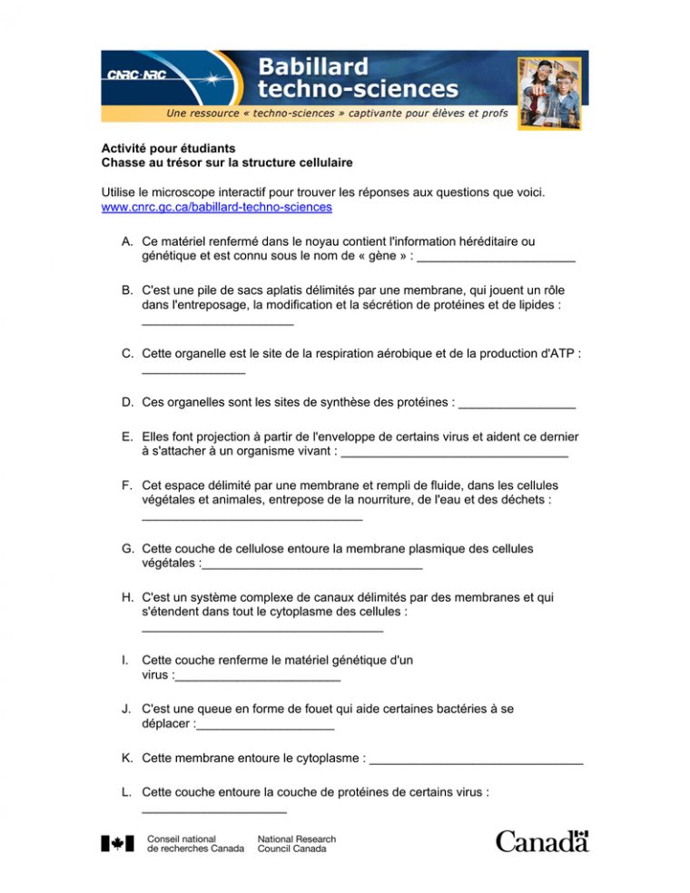 Activité Pour Étudiants Chasse Au Trésor Sur La Structure pour Activité Chasse Au Trésor Activité Pour Étudiants Chasse Au Trésor Sur La Structure pour Activité Chasse Au Trésor
