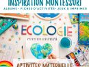 Activités Écologie En Maternelle + Fiches D'activités À destiné Album Printemps Gs