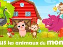 All The Animals Of The World - Learn French With Your Kid dedans Chanson Pour Les Animaux