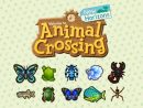 Animal Crossing New Horizons, Les Nouveaux Insectes Et avec Les Noms Des Insectes