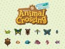 Animal Crossing New Horizons, Les Nouveaux Insectes Et dedans Les Noms Des Insectes