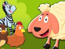 Animale Sonore Chanson | Chansons Pour Enfants | Apprendre Le Son Des  Animaux | Animals Sound Song concernant Chanson Pour Les Animaux
