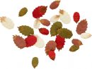 Assortiment De Petites Feuilles D'automne Woodland En Papier X24 encequiconcerne Caractéristiques De L Automne