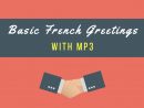 Basic French Greetings(Complete Lesson With Mp3!) -Talk In tout Bonjour Monsieur Comment Ca Va