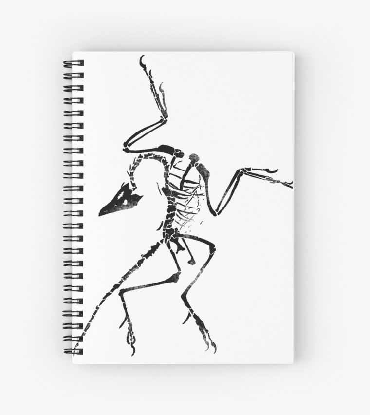 Cahier À Spirale 'archéoptéryx Squelette Imprimer' Par Jjjericho destiné Squelette A Imprimer