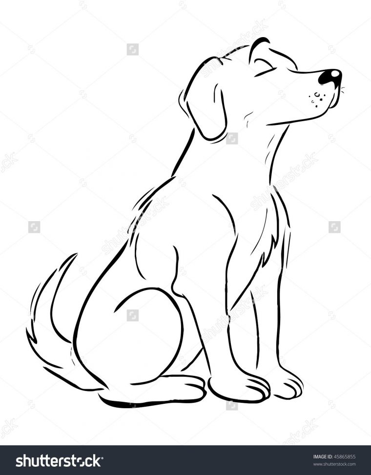 Cartoon Vector Outline Illustration Labrador Retriever Dog pour Coloriage Labrador