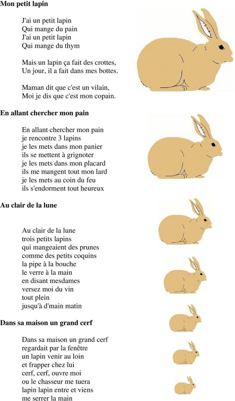 Chansons Et Comptines D Animaux Domestiques. Un Petit Cochon pour Chanson Du Cerf Et Du Lapin Chansons Et Comptines D Animaux Domestiques. Un Petit Cochon pour Chanson Du Cerf Et Du Lapin