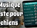 Chien, Musique Relaxante For Android - Apk Download pour Image Relaxante