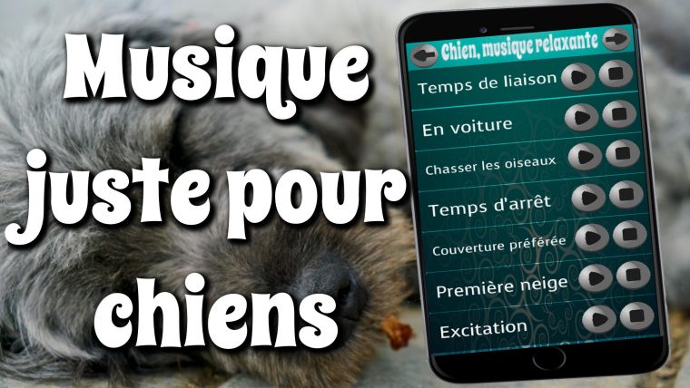 Chien, Musique Relaxante For Android – Apk Download pour Image Relaxante