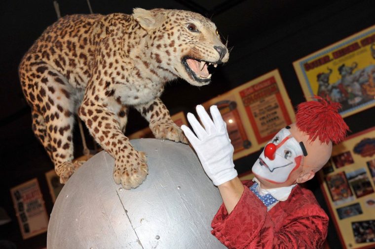 Circus News: Oktober 2018 dedans Etoil Clown