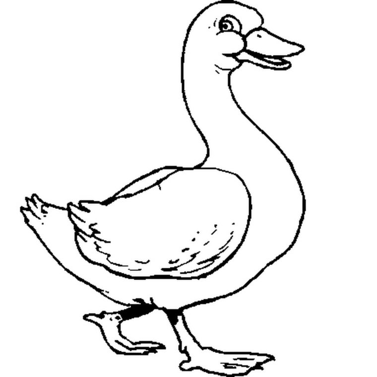 Coloriage Canard En Ligne Gratuit À Imprimer dedans Masque Canard À Imprimer