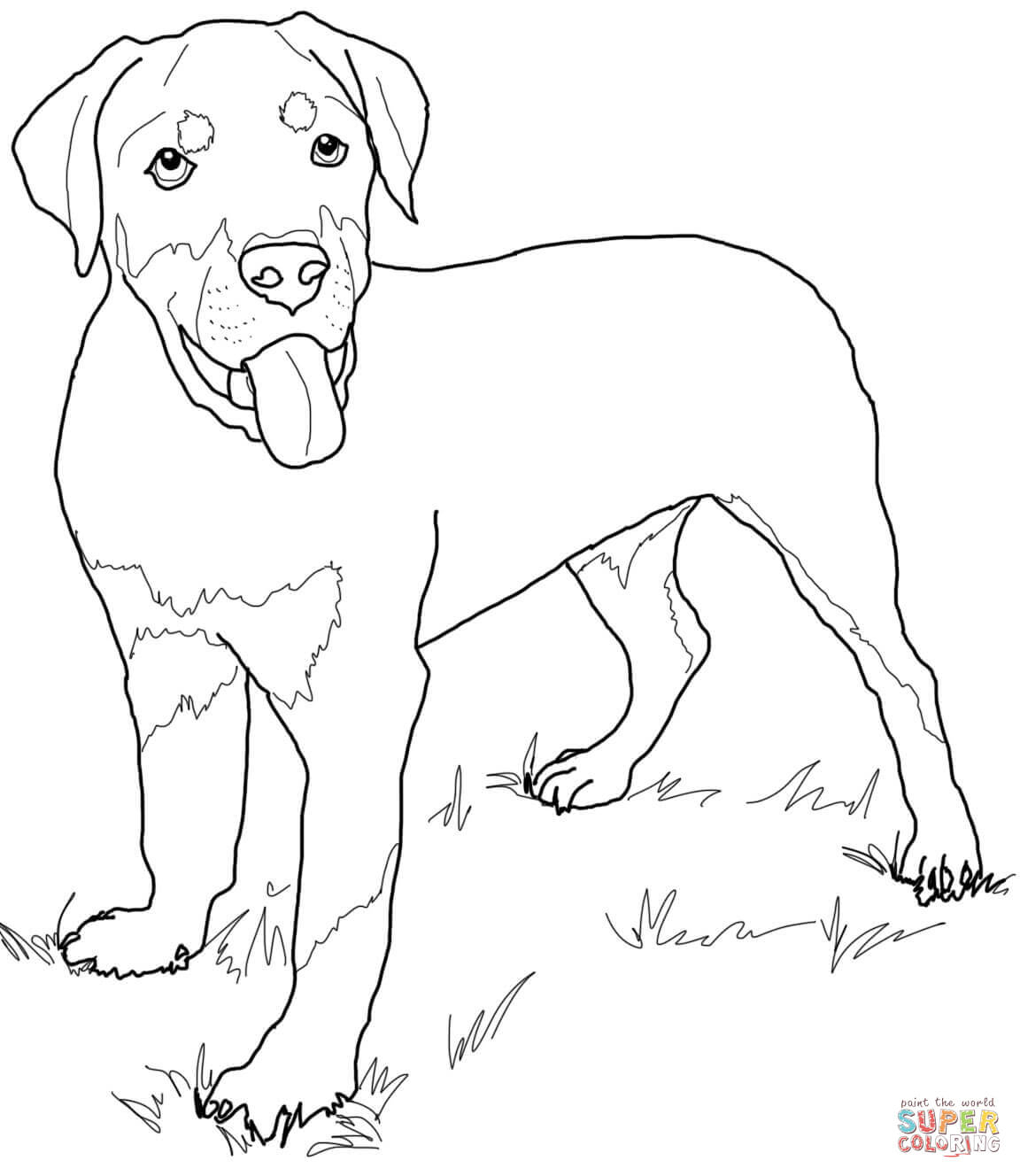 Coloriage - Chiot Rottweiler | Coloriages À Imprimer Gratuits encequiconcerne Coloriage Labrador