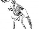 Coloriage Dinosaure Squelette À Imprimer Sur Coloriages à Squelette A Imprimer