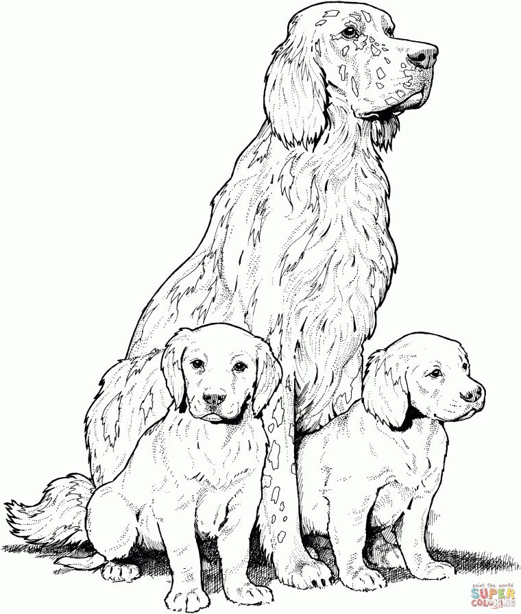 Coloriage – Labrador Avec Chiots | Coloriages À Imprimer avec Coloriage Labrador