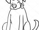 Coloriage Labrador #coloriagelabrador | Art, Scooby Doo, Scooby concernant Coloriage Labrador