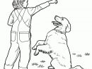 Coloriage - Labrador Retriever | Coloriages À Imprimer Gratuits destiné Coloriage Labrador