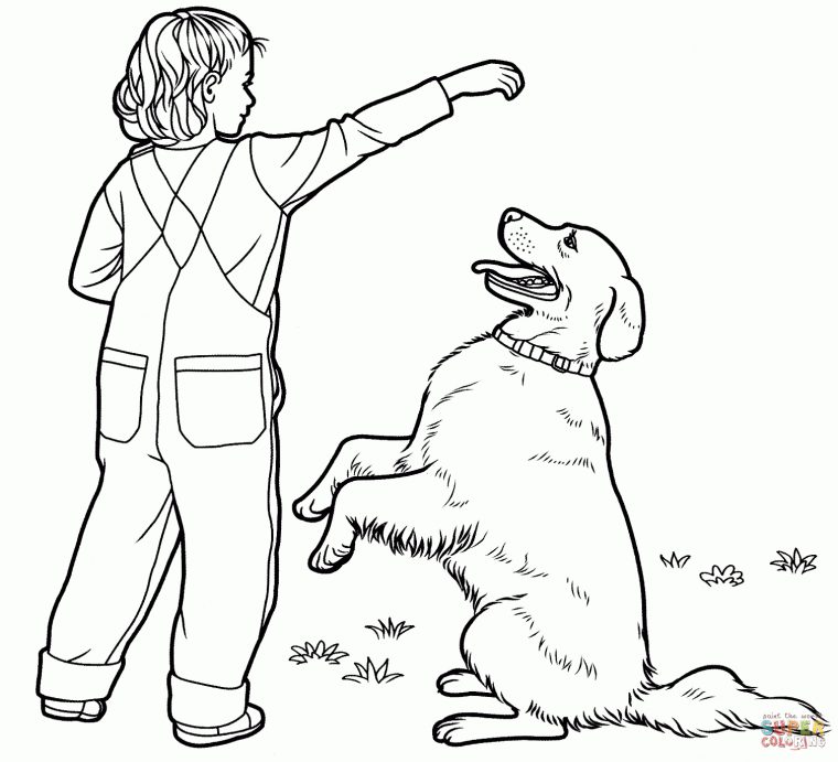 Coloriage – Labrador Retriever | Coloriages À Imprimer Gratuits destiné Coloriage Labrador