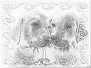 Coloriage Labradors 181108 2 À Imprimer Pour Les Enfants dedans Coloriage Labrador