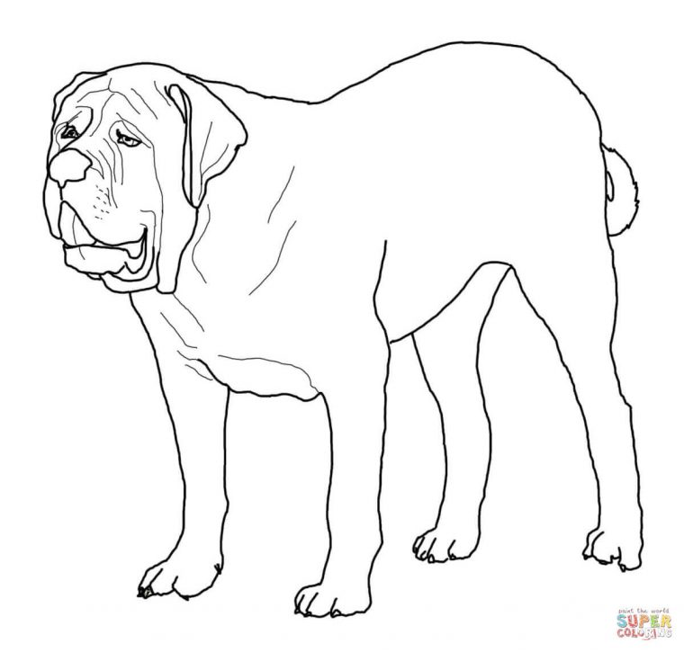 Coloriage – Mastiff | Coloriages À Imprimer Gratuits pour Coloriage Labrador