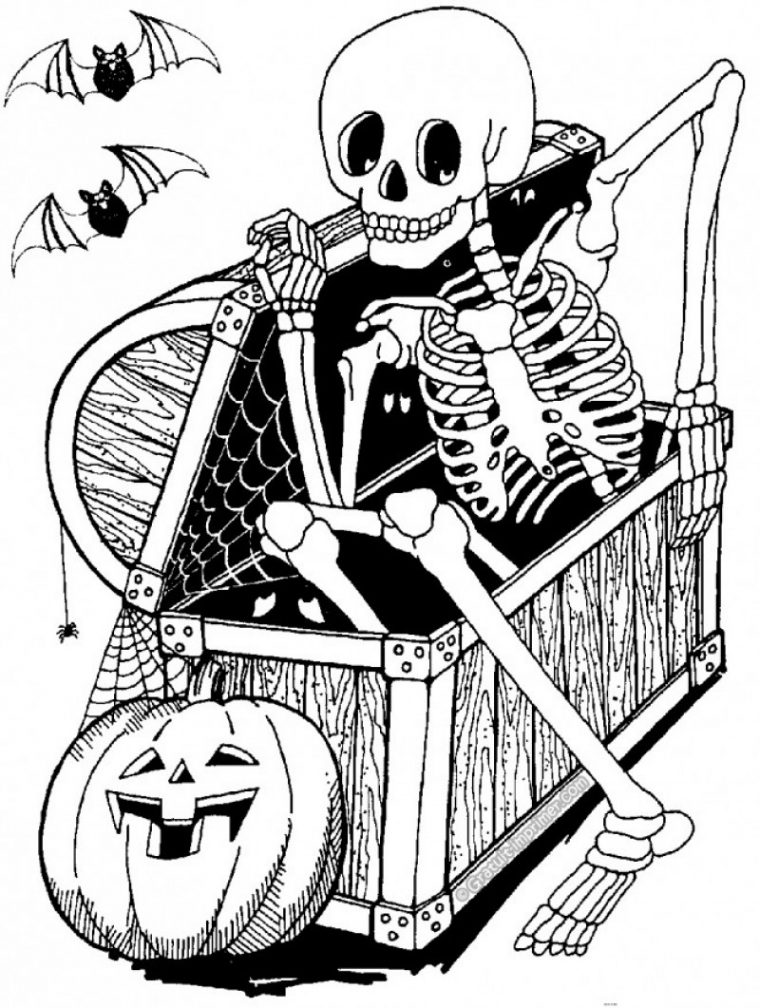 Coloriage Squelette #03 Avec Tête À Modeler avec Squelette A Imprimer