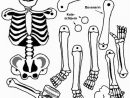 Coloriage Squelette #09 Avec Tête À Modeler tout Squelette A Imprimer